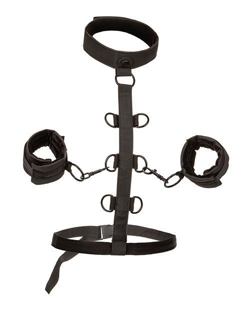 Boundless Collar Restraint Body Harness Kit