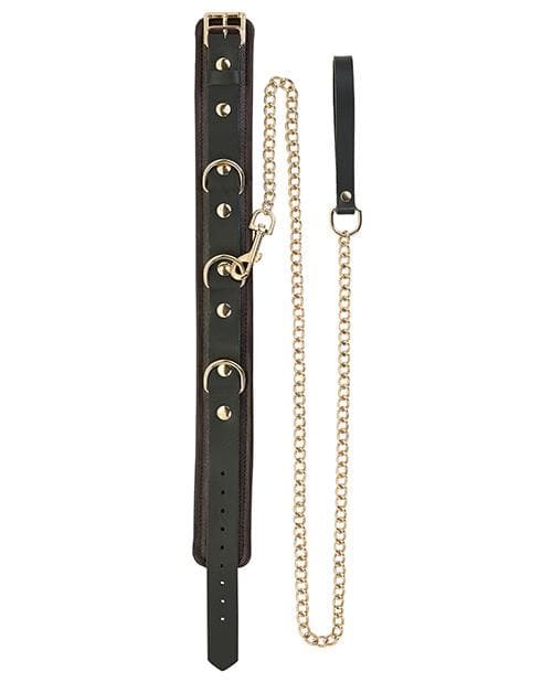 Spartacus Collar & Leash - Brown Leather W/Gold Accent Hardware